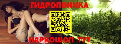 ECSTASY Рыбинск