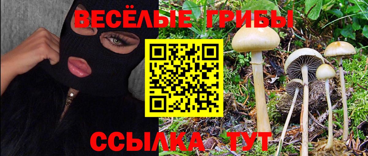 Галлюциногенные грибы MAGIC MUSHROOMS  Галлюциногенные грибы GOLDEN TEACHER  Петропавловск-Камчатский  Вход с VPN 